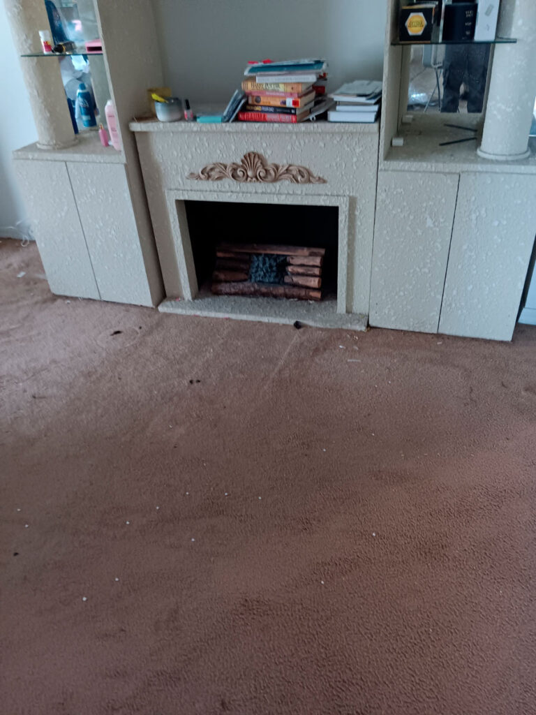 House Cleanout in Riverview 12 A cluttered living room featuring a faux fireplace with wooden logs, surrounded by shelves with books and cleaning products on a carpeted floor.