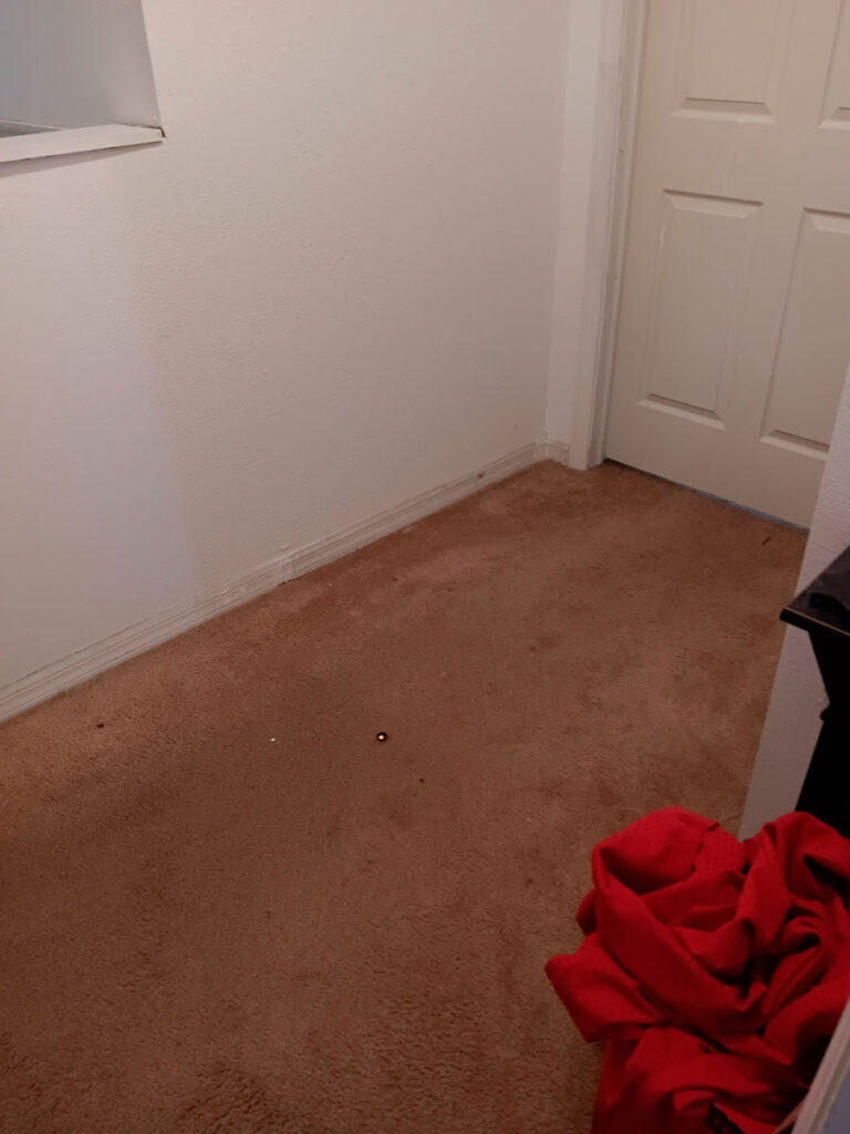 House Cleanout in Riverview 11 A dimly lit corner of a room with beige carpet, a closed door, and a pile of red fabric on the floor near the wall.