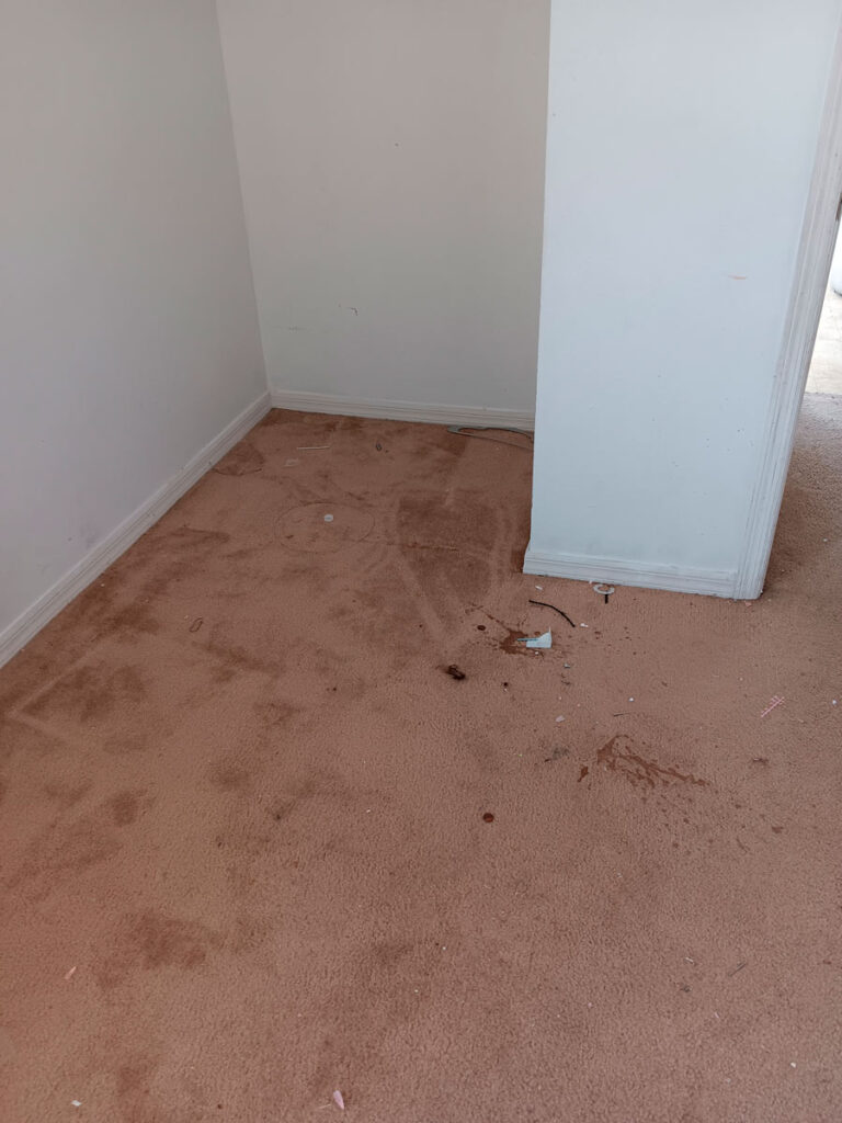 House Cleanout in Riverview 10 A small, empty room with light beige carpet, featuring visible stains and debris on the floor and plain white walls.