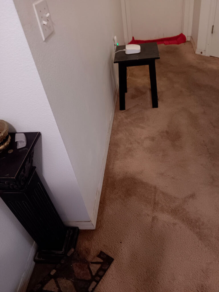 House Cleanout in Riverview 8 A narrow hallway with beige carpet, a small black table holding a device, and decorative items on the left side.
