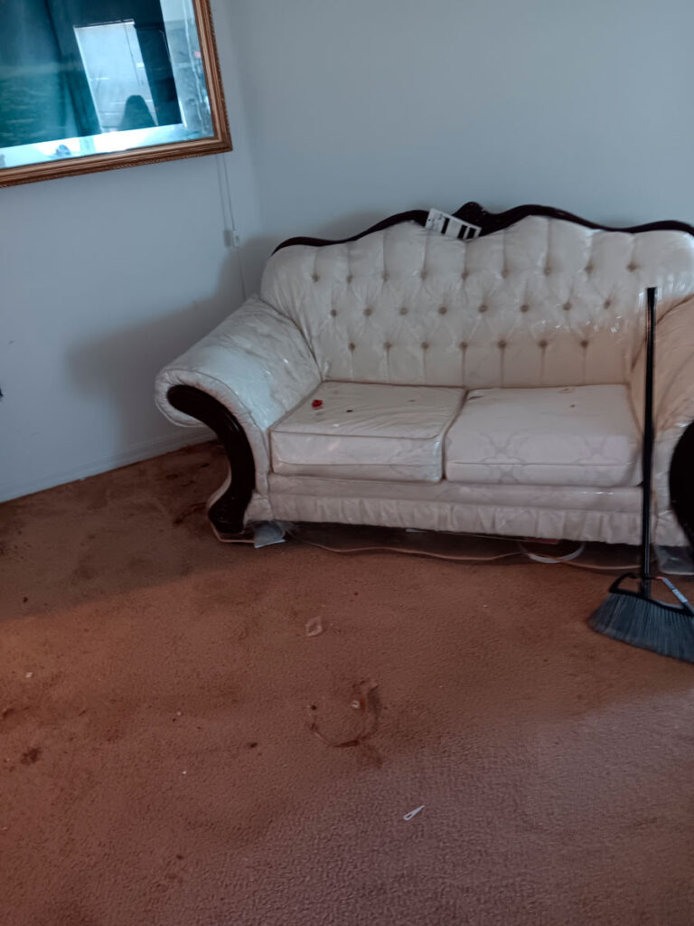 House Cleanout in Riverview 6 A stained white loveseat sits on dirty, brown carpet, with a broom nearby and a large mirror reflecting light.