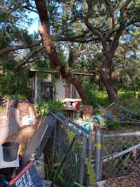 A messy, overgrown yard with a large pile of junk and debris piled up against a chain-link fence.