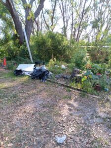 An overgrown yard with a large pile of black trash bags and a white sheet on the ground.