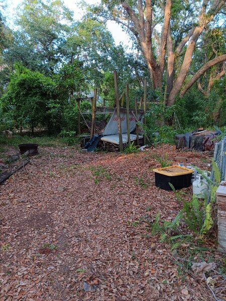 An overgrown, unkempt yard with a chain-link fence covered in vines and weeds and a pile of debris in the background.