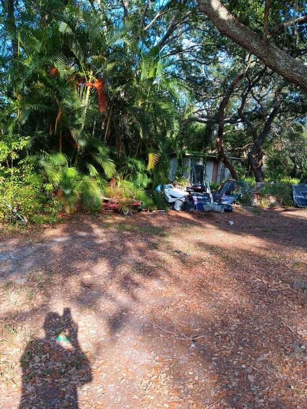 A cluttered backyard with a pile of junk and debris in the corner, partially hidden by palm fronds and other plants.