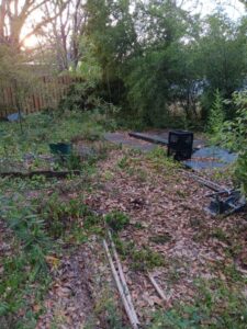 A cluttered yard filled with fallen leaves, overgrown weeds, and assorted junk like milk crates and a rake.