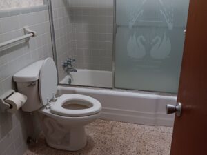 Bathroom with tub and toilet ready for cleanout