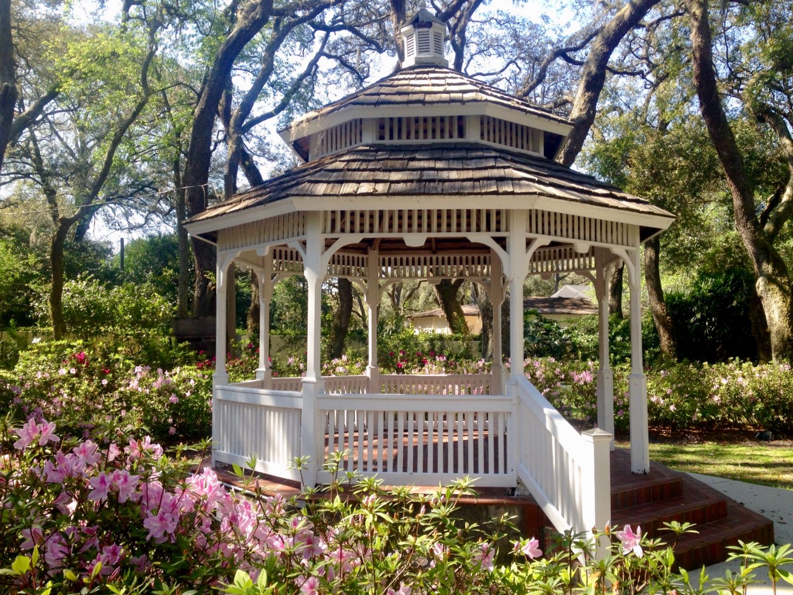 about-templeterrace-fl